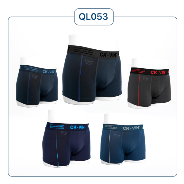 Bang-mau-quan-lot-dui-ql053-passion