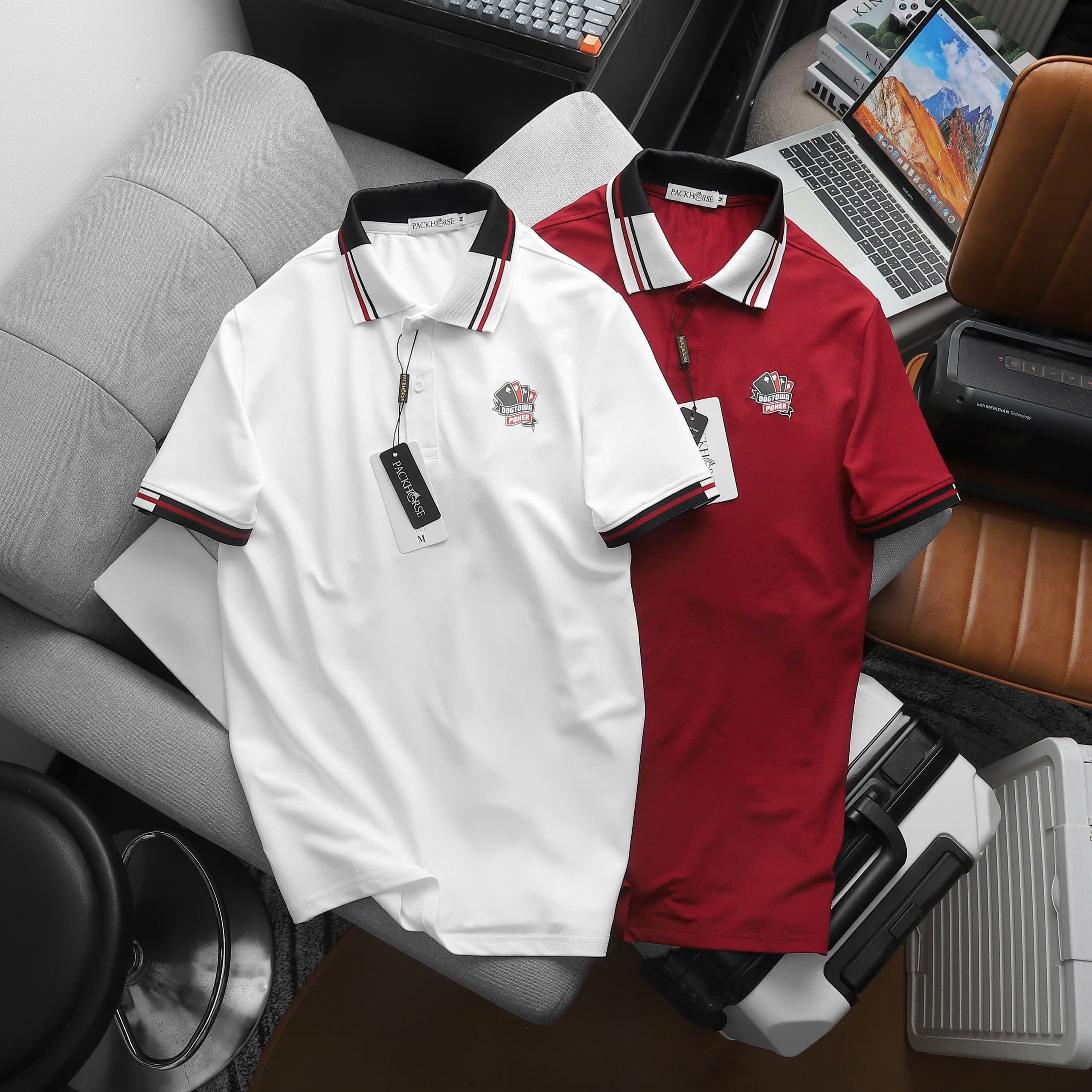 Ao-polo-poker (12)