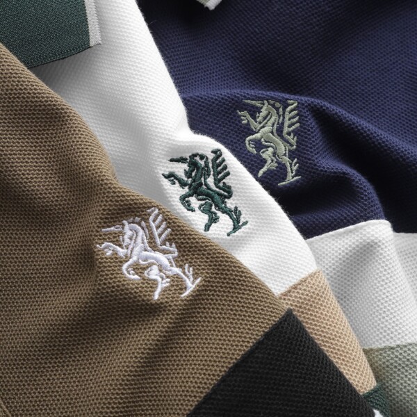 Ao-polo-unicorn (16)